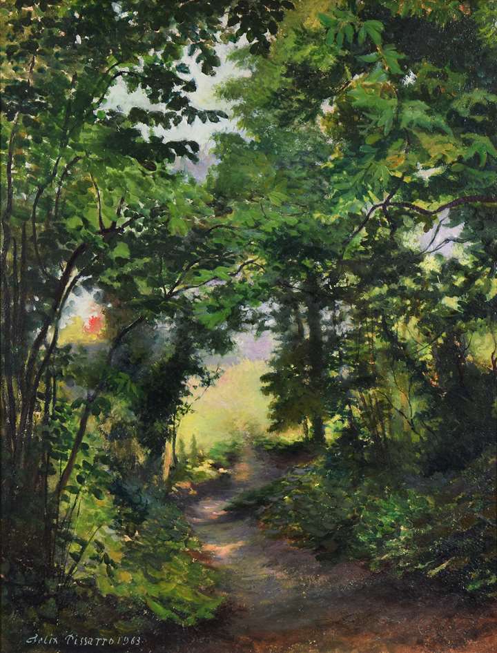 Light in the Forest